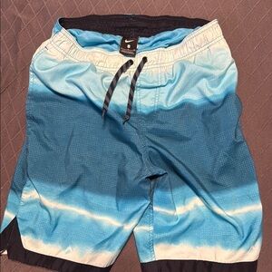 Nike Blue Gradient Board Shorts